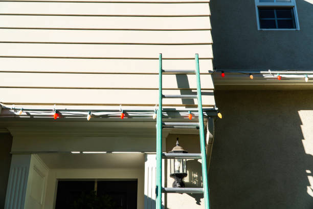 Best Basement Cleanout  in Sahuarita, AZ